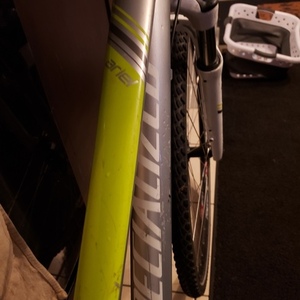 2017 Specialized Ariel Silver, gray or bare metal and White