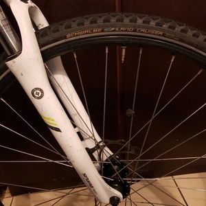 2017 Specialized Ariel Silver, gray or bare metal and White