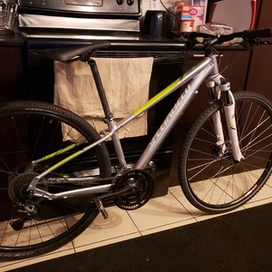 2017 Specialized Ariel Silver, gray or bare metal and White