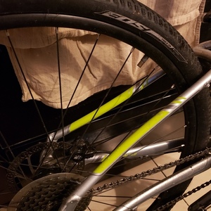 2017 Specialized Ariel Silver, gray or bare metal and White