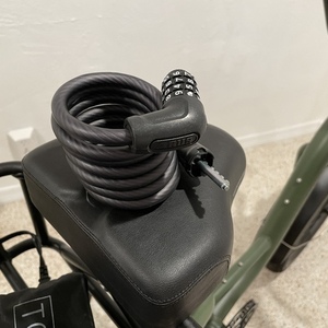 2022 Rad Power Bikes RadRunner 2 Green and Black