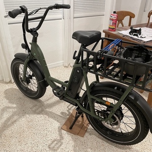 2022 Rad Power Bikes RadRunner 2 Green and Black