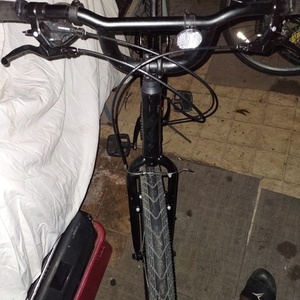 2019 Specialized Roll Black