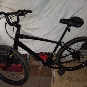 2019 Specialized Roll Black