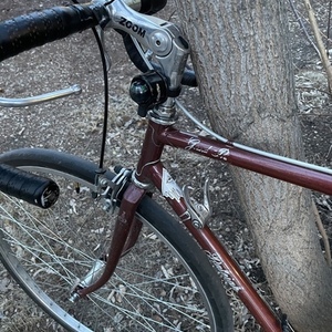 2022 Raleigh Grand Prix Brown