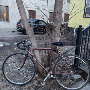 2022 Raleigh Grand Prix Brown