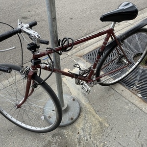 2022 Raleigh Grand Prix Brown