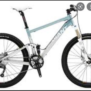 2009 Giant Anthem X w Silver, gray or bare metal