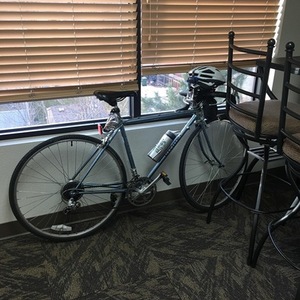 Nishiki Steel, road Blue and Silver, gray or bare metal