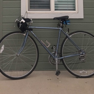 Nishiki Steel, road Blue and Silver, gray or bare metal