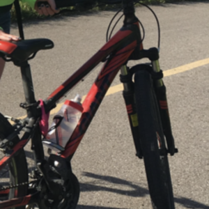 2016 Giant Revel 2 Red and Black