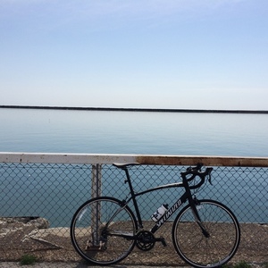 2012 Specialized Secteur Compact Black and White