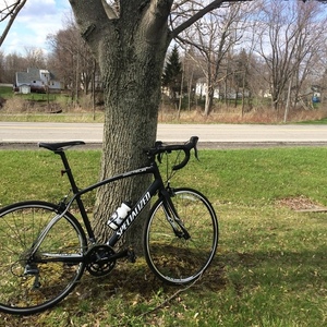 2012 Specialized Secteur Compact Black and White
