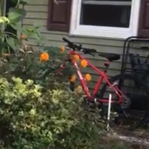 2015 Trek 8.4 DS Red