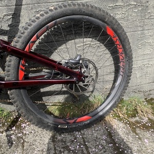 2020 Specialized Purple and Black