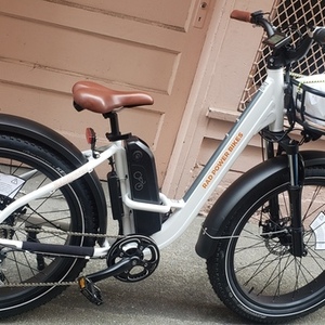 2020 Rad Power Bikes White