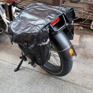 2020 Rad Power Bikes White