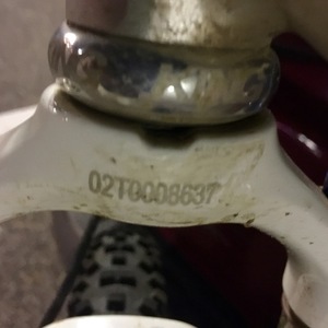 2005 Santa Cruz SUPERLIGHT Silver or Gray