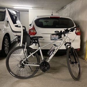 2019 Trek DS3 Silver, gray or bare metal