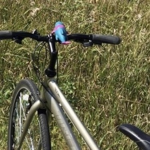 Trek 7.0 FX Yellow or Gold