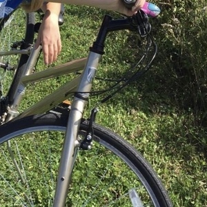 Trek 7.0 FX Yellow or Gold