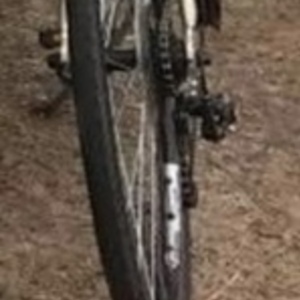 Trek 7.0 FX Yellow or Gold