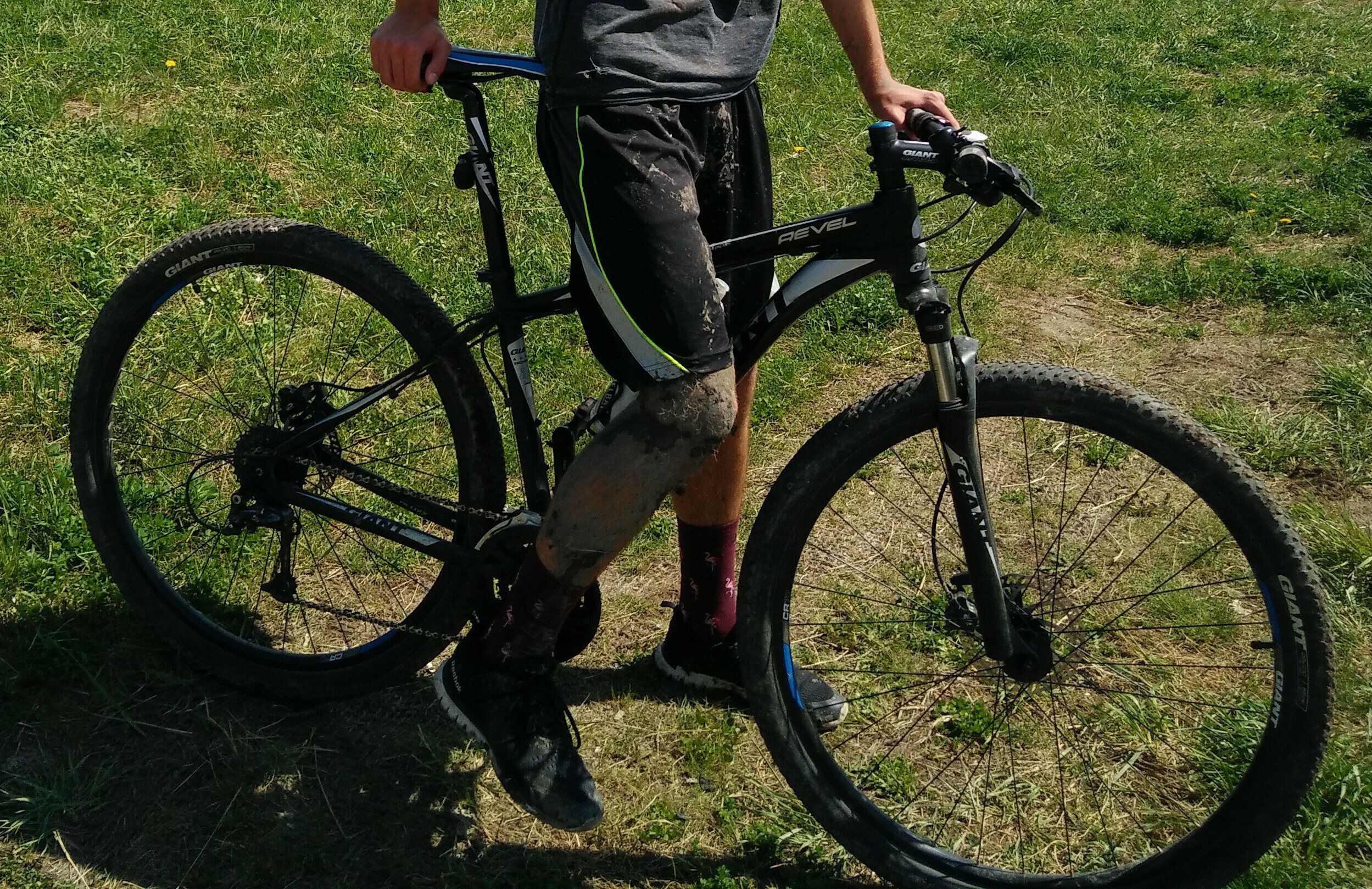 giant revel 29er 0 2015
