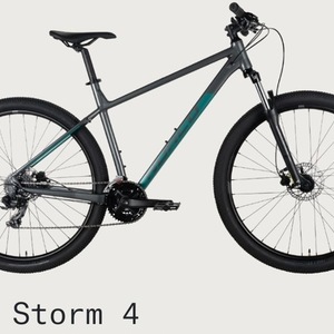 2021 Norco Bikes Storm 4 Silver, gray or bare metal