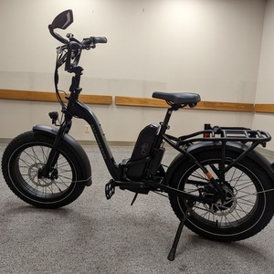 Rad Power Bikes RadExpand 5 Black