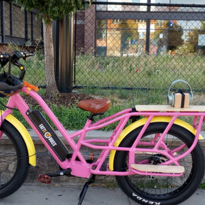 2022 FattE-Bikes Pink Pink and Yellow or Gold