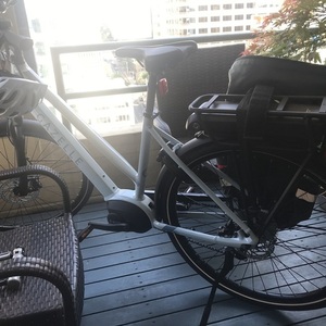 2020 Gazelle Medeo Silver, gray or bare metal