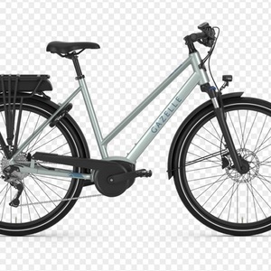 2020 Gazelle Medeo Silver, gray or bare metal