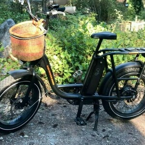 2021 Rad Power Bikes Radrunner 2 Black