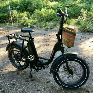 2021 Rad Power Bikes Radrunner 2 Black