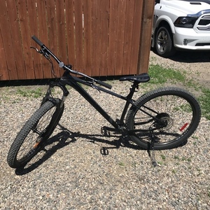2020 Rocky Mountain Bicycles Prowler Silver, gray or bare metal