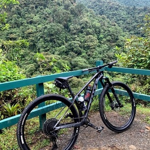 2020 SCOTT SCO Bike Contessa Scale 920 Purple