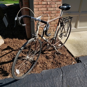 1970 Atala Campione del Mondo Brown