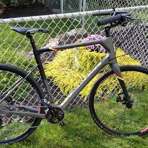 2019 Jamis Renegade Elite Silver, gray or bare metal