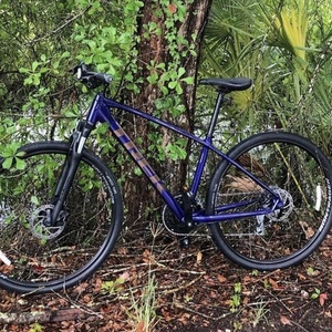 2020 Trek Dual Sport 2 WSD Purple