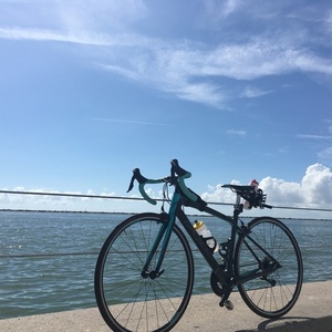 2015 Felt ZW5 Black and Green