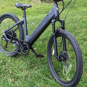 2022 Ride1Up LMT’D ST Silver, gray or bare metal