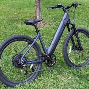 2022 Ride1Up LMT’D ST Silver, gray or bare metal