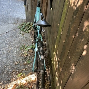 2015 Specialized Ruby Blue