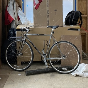 2018 Bianchi Pista Silver, gray or bare metal