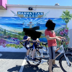 2019 Rad Power Bikes RadWagon White