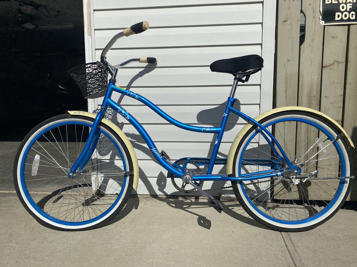 sims charm cruiser bike