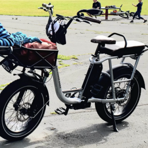 2021 Rad Power Bikes RadRunner Plus Silver, gray or bare metal