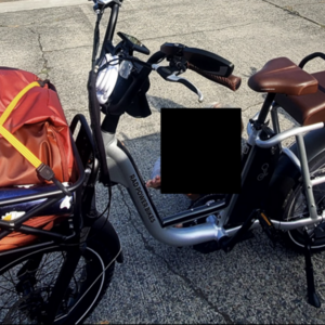 2021 Rad Power Bikes RadRunner Plus Silver, gray or bare metal