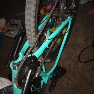 2020 Trek Marlin 5 Teal and Blue