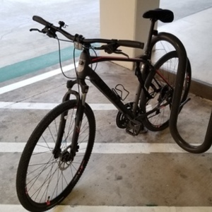 2018 Giant Roam Disc 2 Black and Silver, gray or bare metal